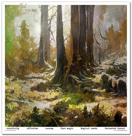 ITD Set 11 Stk 31x32cm einseitig Scrapbooking Papier 200g, Mysterious Forest