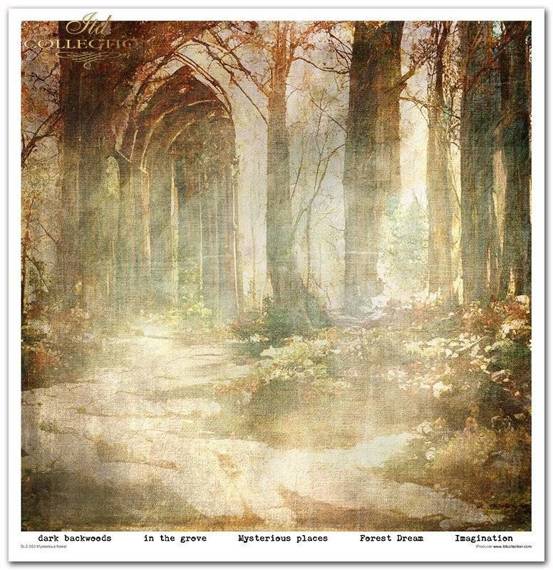 ITD Set 11 Stk 31x32cm einseitig Scrapbooking Papier 200g, Mysterious Forest