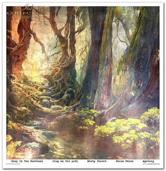 ITD Set 11 Stk 31x32cm einseitig Scrapbooking Papier 200g, Mysterious Forest