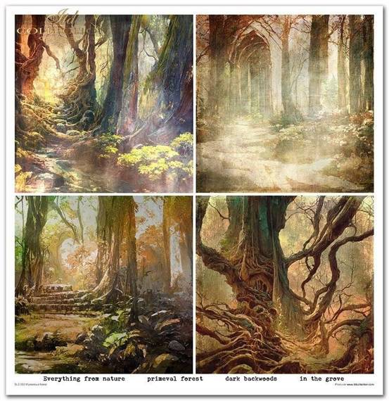 ITD Set 11 Stk 31x32cm einseitig Scrapbooking Papier 200g, Mysterious Forest