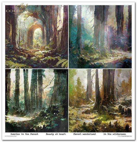 ITD Set 11 Stk 31x32cm einseitig Scrapbooking Papier 200g, Mysterious Forest