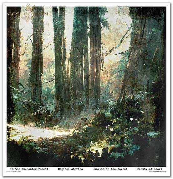 ITD Set 11 Stk 31x32cm einseitig Scrapbooking Papier 200g, Mysterious Forest