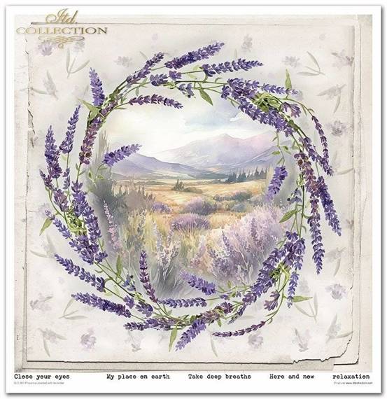 ITD Set 11 Stk 31x32cm einseitig Scrapbooking Papier 200g, Provence scented with lavender