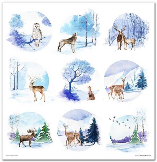 ITD Set 11 Stk 31x32cm einseitig Scrapbooking Papier 200g, Winter animals