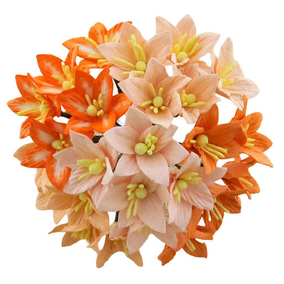 LILIEN 30mm 50Stk Scrapbooking Maulbeerpapier Blumen Flowers, pfirsich orange mix