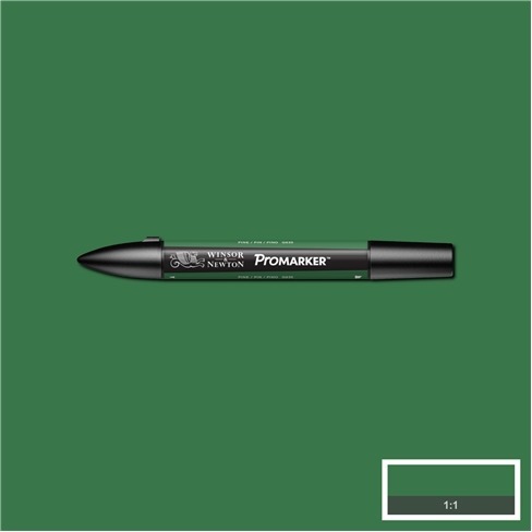 Promarker Winsor&Newton PINE 79 zielony