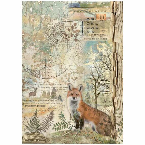 Reispapier Decoupage Bastelpapier Forest A4 - Stamperia - Fuchs