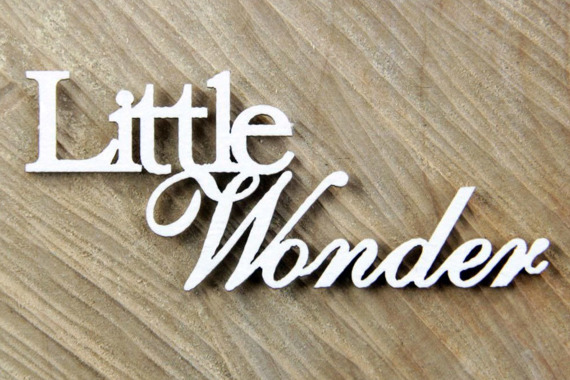 SCRAPINIEC Dekorpappe Die Cut Chipboard Dekoration Ornament, Little wonder