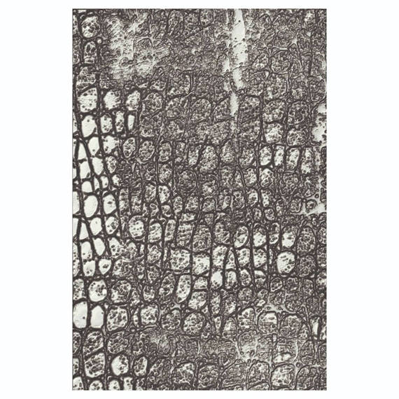 SIZZIX - 3D Textured Impressions Embossing Folder - Reptile by Tim Holtz