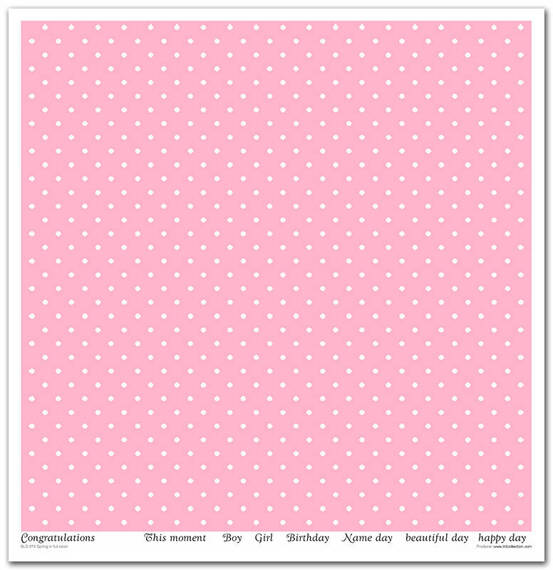 TD COLLECTION Setz von 11Stk 30x30cm Scrapbooking Papier - Spring in Full Color