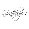 AGATERIA - Transparent Stempel Motivstempel Clear Stamp Gratulacje! - Untertitel PL