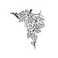 AGATERIA - Transparent Stempel Motivstempel Clear Stamp - Vine, Corner, Eckrebe mit Trauben