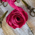 Dekoratives Vintage-Band - Old fashion ribbon - rosa OLDS08
