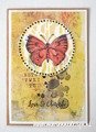 MARIANNE DESIGN Gummistempel Motivstempel - Tiny's butterfly 1 Schmetterling