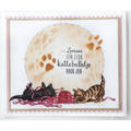 MARIANNE DESING Stempel Motivstempel - Tiny's Border - kittens