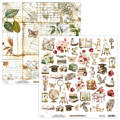 MINTAY 30x30cm doppelseitig Scrapbooking Papier mit Elementen - Academia