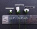 ROSEN geschlossene 4mm 100Stk Scrapbooking Maulbeerpapier Blumen Flower, weiß