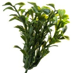 Heidelbeere 1pc Dekoration auf einer Spitze