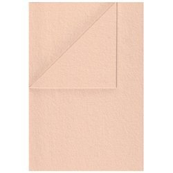 100% Wolle Filz WOLLFILZ Bastelfilz Dekofilz 20x30cm/1,5 mm/450g, 5625 fleischfarben