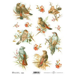 ITD Reispapier Decoupage Bastelpapier Serviettentechnik-R1069 Vögel