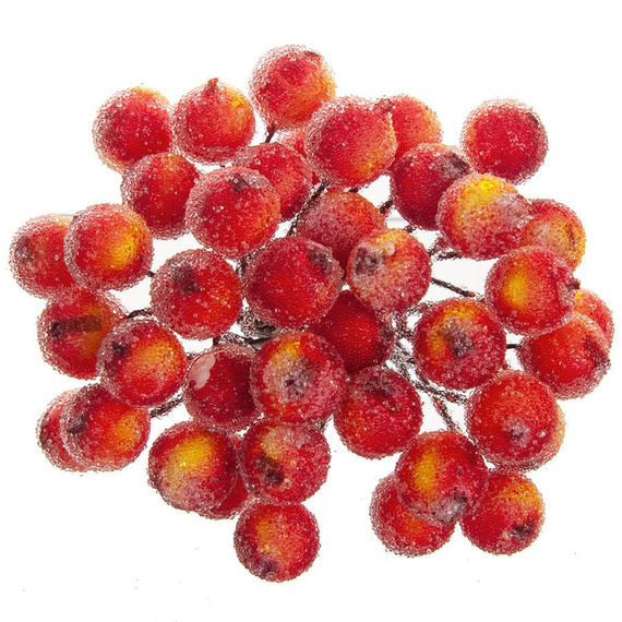 Gefrostete Beeren - rot-gelb - 1 Zweig mit 40 Beeren 