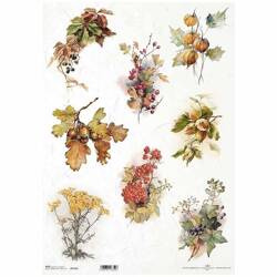 Reispapier für Decoupage A3 ITD-1142L Eichenblätter, Eicheln, Balg, Efeu, Eberesche