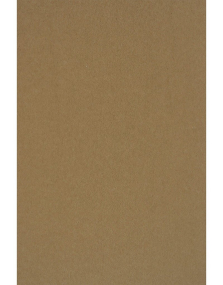 A4 Kraftpapier EKO 170g braun - 20 s