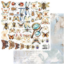ALCHEMY OF ART 30x30cm doppelseitig Scrapbooking Papier 250g,  Schmetterlinge, Libellen