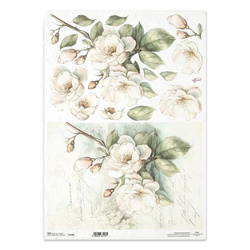 Reispapier Decoupage Bastelpapier für Decoupage A3 ITD R1430L Apfelblüten