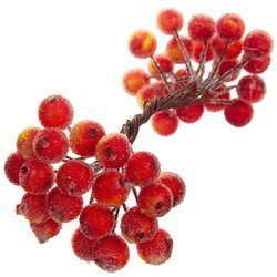 Gefrostete Beeren - rot-gelb - 1 Zweig mit 40 Beeren 