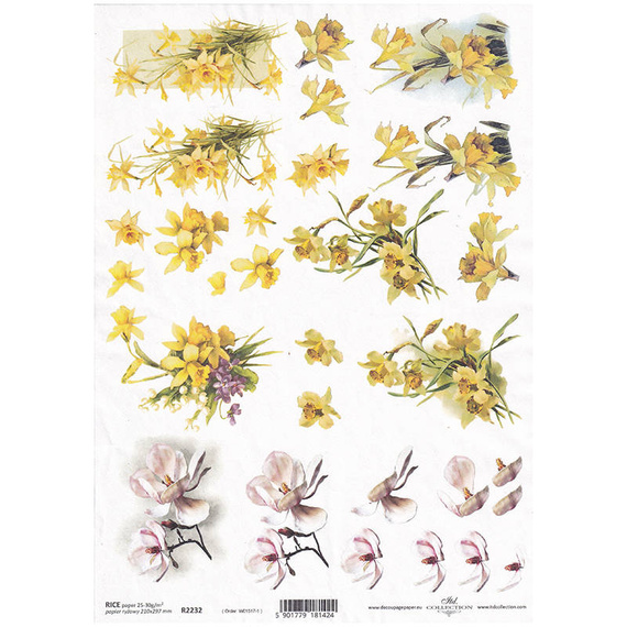 ITD Reispapier Decoupage Bastelpapier Serviettentechnik-R2232 Narzisse, Magnolie