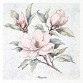 Reispapier-Set-Bastelpapier - ITD - RSM176 Blumen, Magnolie, Apfelblüten