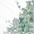 SERVIETTEN 1 Stück Motivservietten Decoupage Napkin 33x33cm, Hedera white Efeu