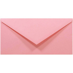 DL NK Rainbow R55 rosa 80g Umschlag