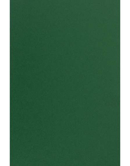 A4 Papier Sirio Color 210g Foglia - 25ark