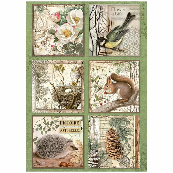 Reispapier Decoupage Bastelpapier Forest A4 - Stamperia - 6 Karten Igel Eichhörnchen Nest Kiefernzapfen