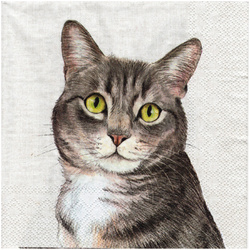SERVIETTEN 1 Stück Motivservietten Decoupage Napkin 33x33cm,  Farm Cat