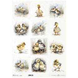 Reispapier für Decoupage-Platten A3 ITD-1186L Entenküken und Hühner
