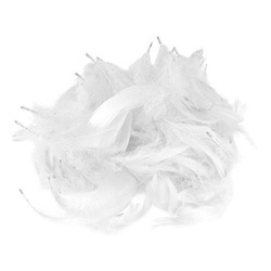 DECO FEDERN Bunt Bastelfeder Fasching Karneval Handwerk Hochzeit 10Stk. weiß