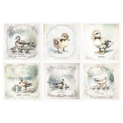 Reispapier-Set-Bastelpapier - ITD - RSM159 Entenküken