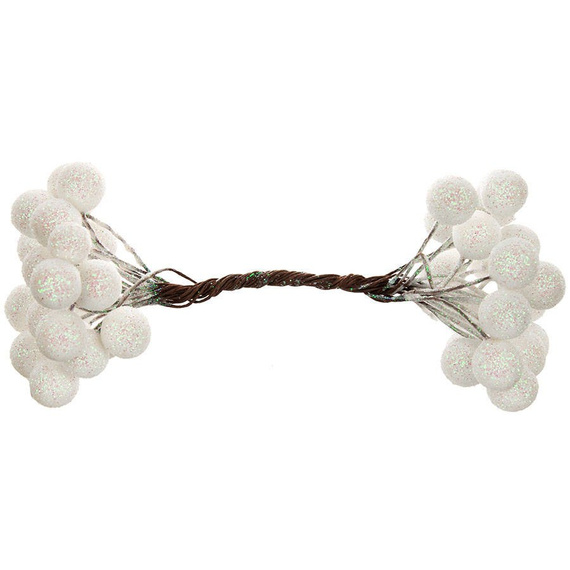 Jarzębina / głóg / bordowe kuleczki