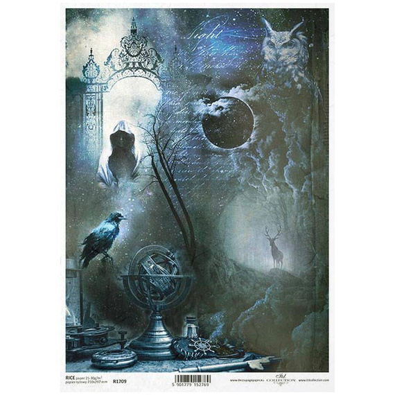 Reispapier für Decoupage Alchemy, Weltkugel, Rabe, Nebel ITD-R1709 - A4