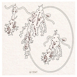 SCRAPINIEC Dekorpappe Die Cut Chipboard Dekoration Ornament, Kräuter Rahmen 5541