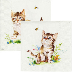 SERVIETTEN 1 Stück Motivservietten Decoupage Napkin 33x33cm, Kira Katzen