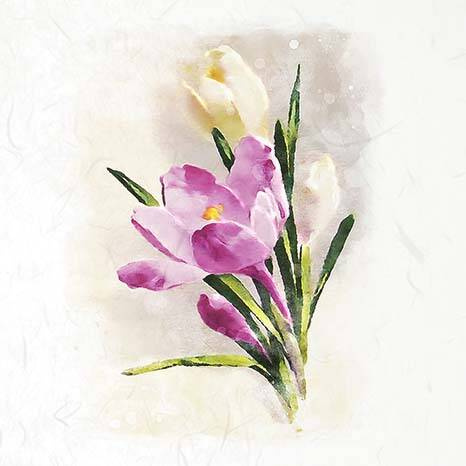 ITD Reispapier Decoupage SET Bastelpapier, Hyazinthen, Schneeglöckchen, Krokusse RSM073 