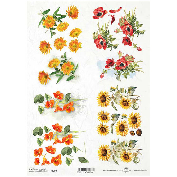 ITD Reispapier Decoupage Bastelpapier Serviettentechnik-R2250 Ringelblume, Sonnenblume, Mohnblumen, Kapuzinerkresse