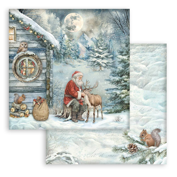 Scrapbooking Papier Set 30x30 - The Owl's House - Stamperia