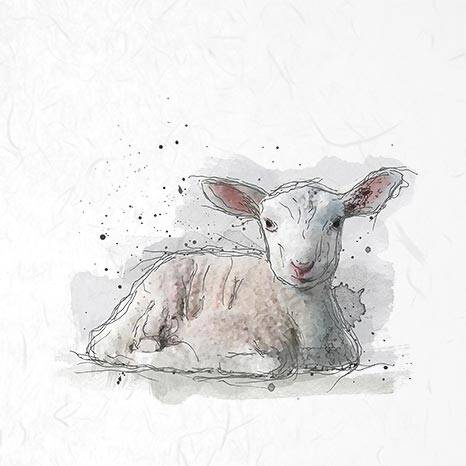 ITD - Reispapier-Set - ITD - RSM002 - Hühner, Gänse