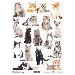 ITD Reispapier Decoupage Bastelpapier Softpapier Serviettentechnik, Katzen R2146