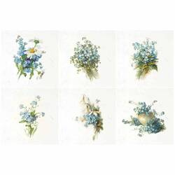ITD Reispapier Decoupage SET Bastelpapier, Vergissmeinnicht RSM077
